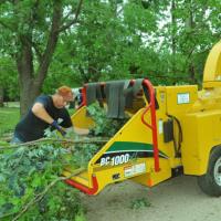 North Sydney Tree Removals image 2